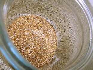 Leinsamen ganz