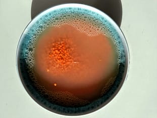 rote Linsen Dhal einweichen