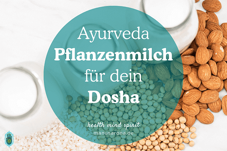 Ayurveda Pflanzenmilch je Dosha