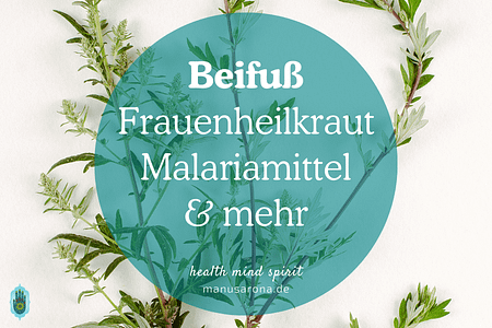 Beifuß - wertvolles Frauenheilkraut, Malariamittel