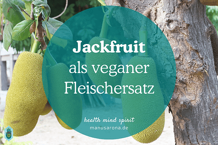 Jackfrucht Jackfruit als Fleischerdatz vegan