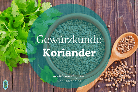 Koriander Gewürzkunde frisch Samen Pulver Ayurveda