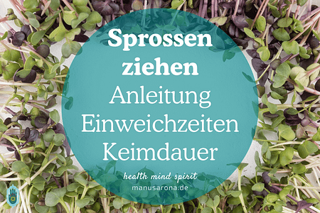 Sprossen ziehen Anleitung Einweichzeiten Keimdauer Tipps Gesund