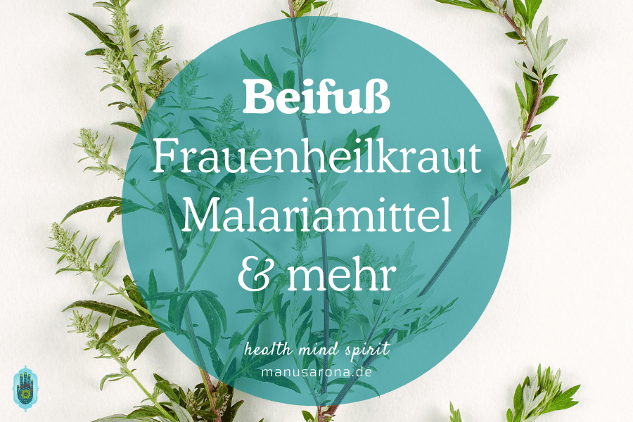 Beifuß - wertvolles Frauenheilkraut, Malariamittel und mehr MANU SARONA • health mind spirit • Dein Blog für ganzheitliches Wohlbefinden Beifuß - wertvolles Frauenheilkraut, Malariamittel