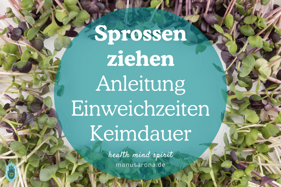 Erfolgreich Sprossen ziehen: Schritt-für-Schritt Anleitung mit Einweichzeiten und Keimdauer MANU SARONA • health mind spirit • Dein Blog für ganzheitliches Wohlbefinden Sprossen ziehen Anleitung Einweichzeiten Keimdauer Tipps Gesund